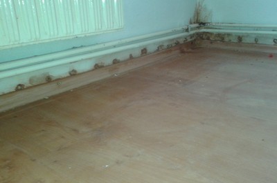 RD Nový Oldřichov